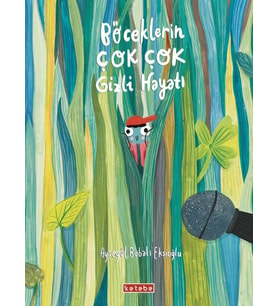 Böceklerin Çok Çok Gizli Hayatı Ayşe Babalı Ekşioğlu
