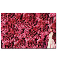 Cakatablo Audrey Hepburn Kırmızı Çiçekler Önünde MDF Tablo
