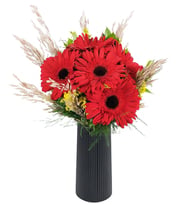 Siyah Polimer Vazoda Kırmızı Gerbera Çiçekleri