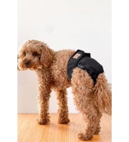 Salya Store Köpek Regl Külotu Kl-103 (Siyah)