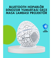 Dinozor Yumurtası Tasarımlı Gece Lambası – Müzik ve Işık Senkronizasyonlu