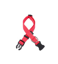 Actirex Neon Yumuşak Doku Ayarlanabilir Köpek Boyun Tasma Red 35-58cm (Kırmızı)