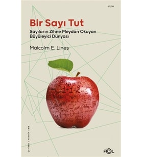 Bir Sayı Tut
