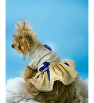 Navy Creamy Tütülü Köpek Elbisesi,  Kıyafeti Tutu (Mavi - Beyaz - Krem)