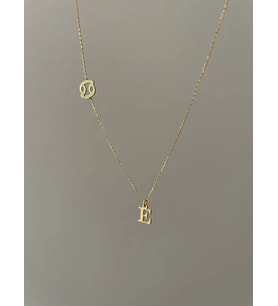 Kişiye Özel 925 Ayar Gümüş Minimal Burç Sembol Harf Kolye (Gold)