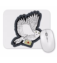 Harry Potter Mail Time Mouse Pad
