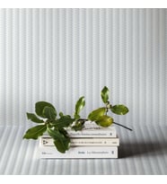 Adawall Omega Koleksiyonu 23206-3 Duvar Kağıdı