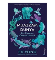 Muazzam Dünya: Beş Duyunun Ötesine Yolculuk