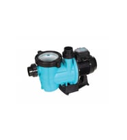 Ranger Havuz Pompası 1.5 Hp 220 Volt Devir Ayarlı
