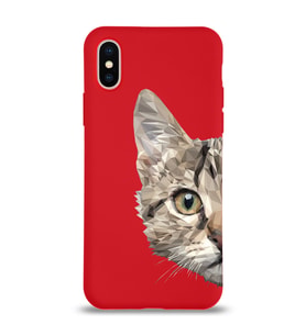 Apple iPhone X Uyumlu Lansman Kılıf Catface Tasarımlı Altı Kapalı İçi Kadife Kaplı Silikon Kapak (Şeffaf)