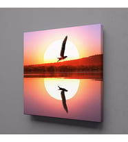 GÜN DOĞUŞU VE BATIŞI KUŞ KANVAS TABLO 110x110cm (Karışık)