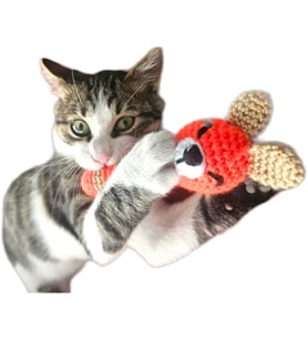 Kedi & Köpek Diş Kaşıma Isırma Oyuncağı