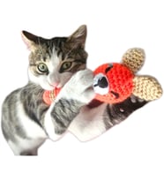 Kedi & Köpek Diş Kaşıma Isırma Oyuncağı