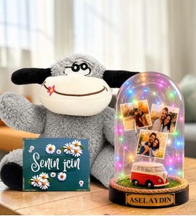 Kişiye Özel Yazılı 3 Fotoğraflı Renkli LED Işıklı Fanus(kırmızı vosvoslu) ve Şaşkın Peluş Eşek