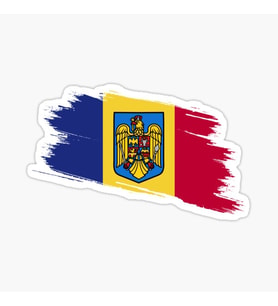 Romanya Bayrağı ve Ulusal Arma Çıkartması  Araba Sticker 19CM