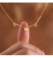 Kişiye Özel Minimal Evcil Hayvan Pati 3 İsim Kolye 925K Gümüş (Gold)