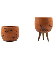 Bitki Tasarımı Siyah Nokta Desenli Terakota Toprak Saksı Saksılık Salon Çiçeklik İkili Set Ayaksız, 3 Ayaklı 12 Cm