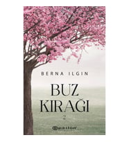 Buz Kırağı 2