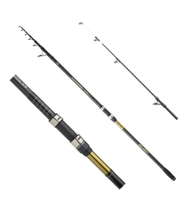DAIWA POWERMESH CF 4.20M, 100-250GR, TELE SURF KAMIS