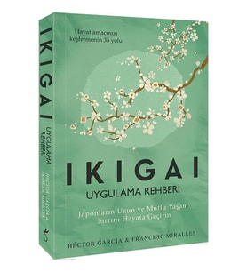 IKIGAI UYGULAMA REHBERİ