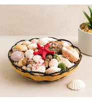 Ahşap Yuvarlak Sepet Fileli Midye ve Deniz Kabuğu Vazo Taşı