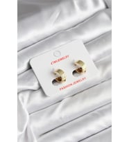 14K Gold Renk Kaplama CM Kadın Küpe - TJ-BKP11413