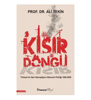 Kısır Döngü