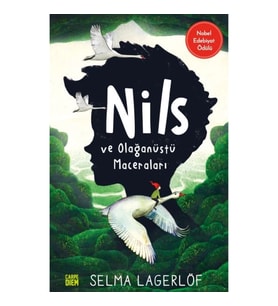 Nils ve Olağanüstü Maceraları