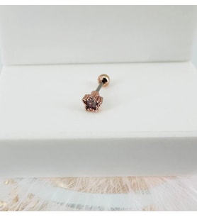 Tragus Kıkırdak Küpesi