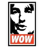 Vay. Owen Wilson. Vay. Tablo Ahşap Poster Dekoratif