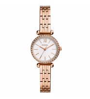 Fossil FBQ3502 Kadın Kol Saati