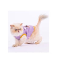 Pawstar Kedi ve KÜÇÜK Köpek T-Shirt Plum Lazy S Sırt24cm Göğüs37cm Boyun23cm