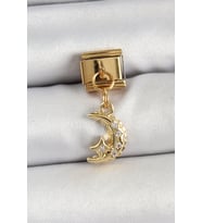 316L Çelik Sallantılı Zirkon Taşlı Ay Model Gold Renk Nomination Charm - TJ-BC1431