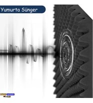 30mm Yanmaz Akustik Yumurta Yalıtım Süngeri 50 Dns 100cmx100cm (1m²)