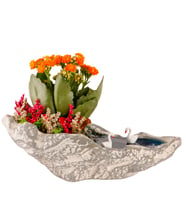 Kaya Saksıda Turuncu Kalanchoe Teraryum