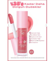 Golden Rose Plumped Lips Lip Plumping Gloss No: 210
