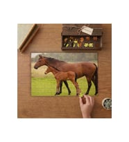 At ve Yavrusu Tasarımı 240 parça Ahşap Puzzle Ahşap Kutuda MP09389