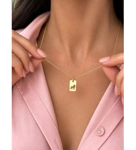 Kişiye Özel Minimalist Aslan Figürlü Plaka Kolye 925K Gümüş (Gold)