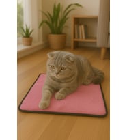 Yumuşak Dokulu Peluş Kedi Halısı 40x40 cm, Kulübe İçin Pofuduk Minder