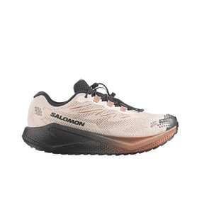 Salomon AERO BLAZE 4 GRVL GTX Erkek Outdoor Koşu Ayakkabısı L45403200 Bej