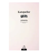 Kategoriler