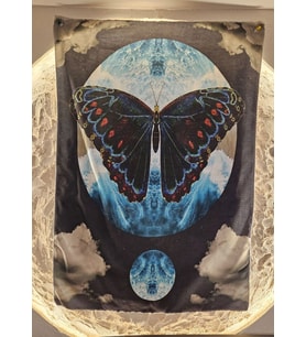Butterfly Duvar Örtüsü