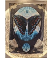 Butterfly Duvar Örtüsü
