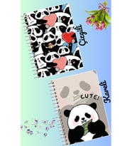 Panda defter seti 2 adet A4 boyutu 21*30 çizgili + kareli 60 syf