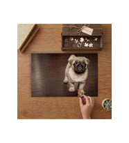 Pug Cinsi Köpek Tasarımı 240 parça Ahşap Puzzle Ahşap Kutuda MP06152