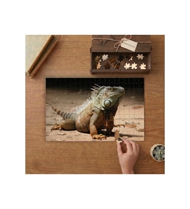 Kumlar Üzerinde İguana Tasarımı 240 parça Ahşap Puzzle Ahşap Kutuda MP09982