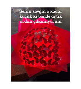 Kırmızı Led Işıklı Kelebek Buketi A Kalite 24 Adet Kelebekli Sevgiliye/ Eşine vb Herkes İçin