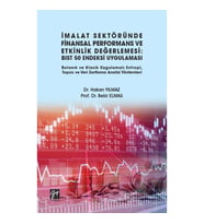 İmalat Sektöründe Finansal Performans ve Etkinlik Değerlemesi - BIST 50 Endeksi Uygulaması