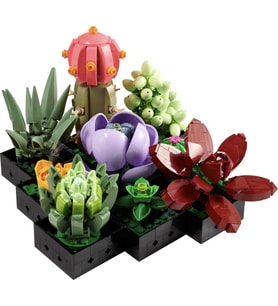 LEGO 10309 Creator Expert Sukulentler (771 Parça)