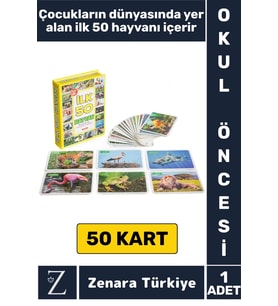 Okul Öncesi Koordinasyon Görsel Algı Geliştirici Hayvan İsimleri Öğretici Eğlenceli İLK 50 HAYVAN